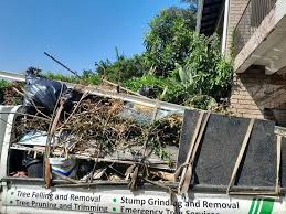 Best Dumpster Rental Services  in Elizabeth, NJ